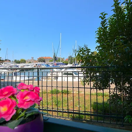 Greenville * Zadar