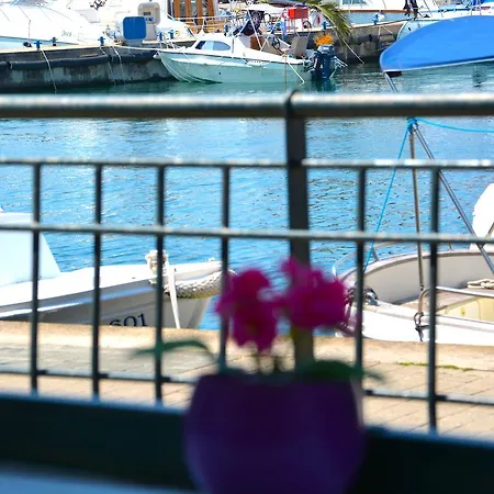 Apartment Greenville Zadar